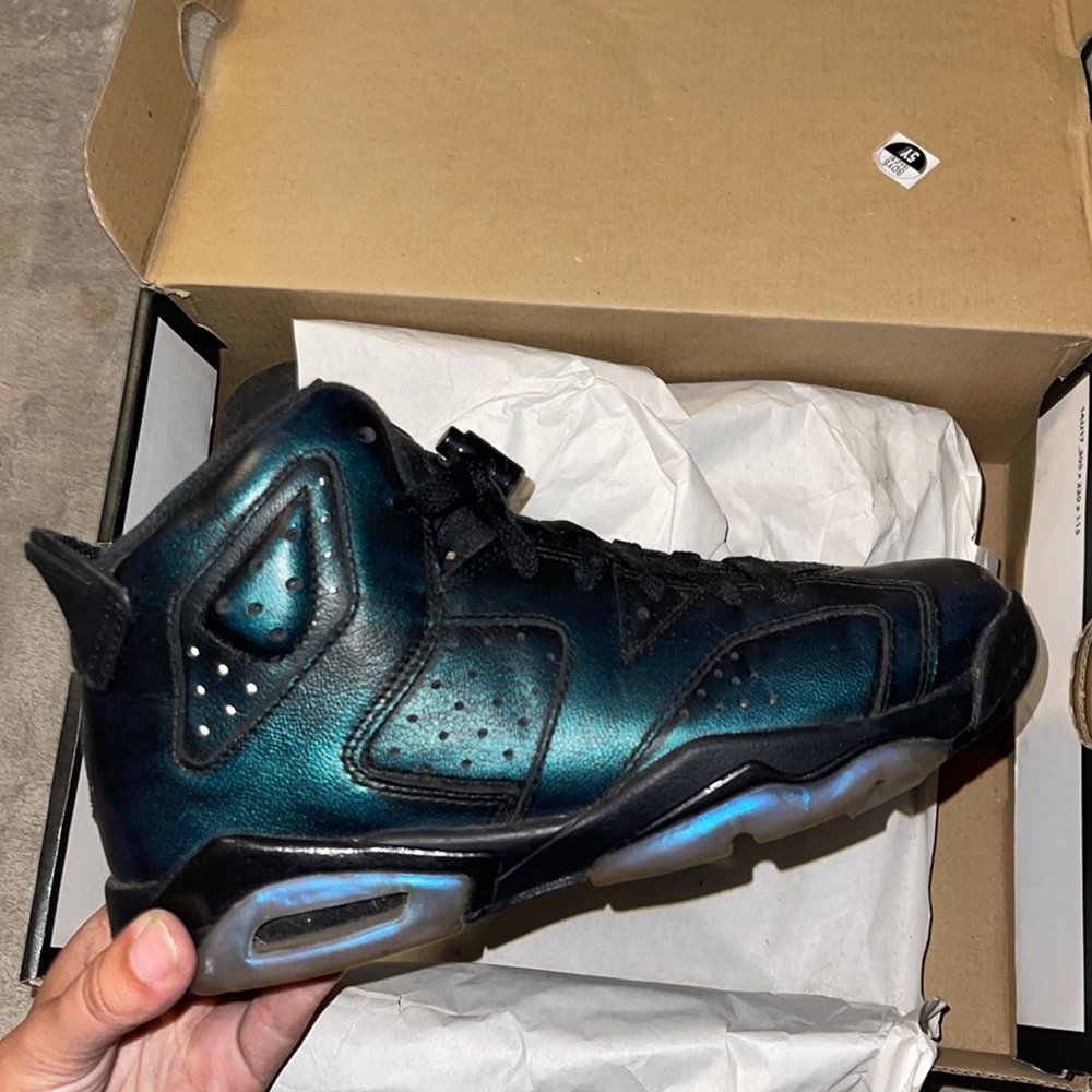 Air Jordan 6 retro